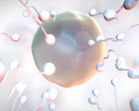 osteopathie-fertilité-plaisir